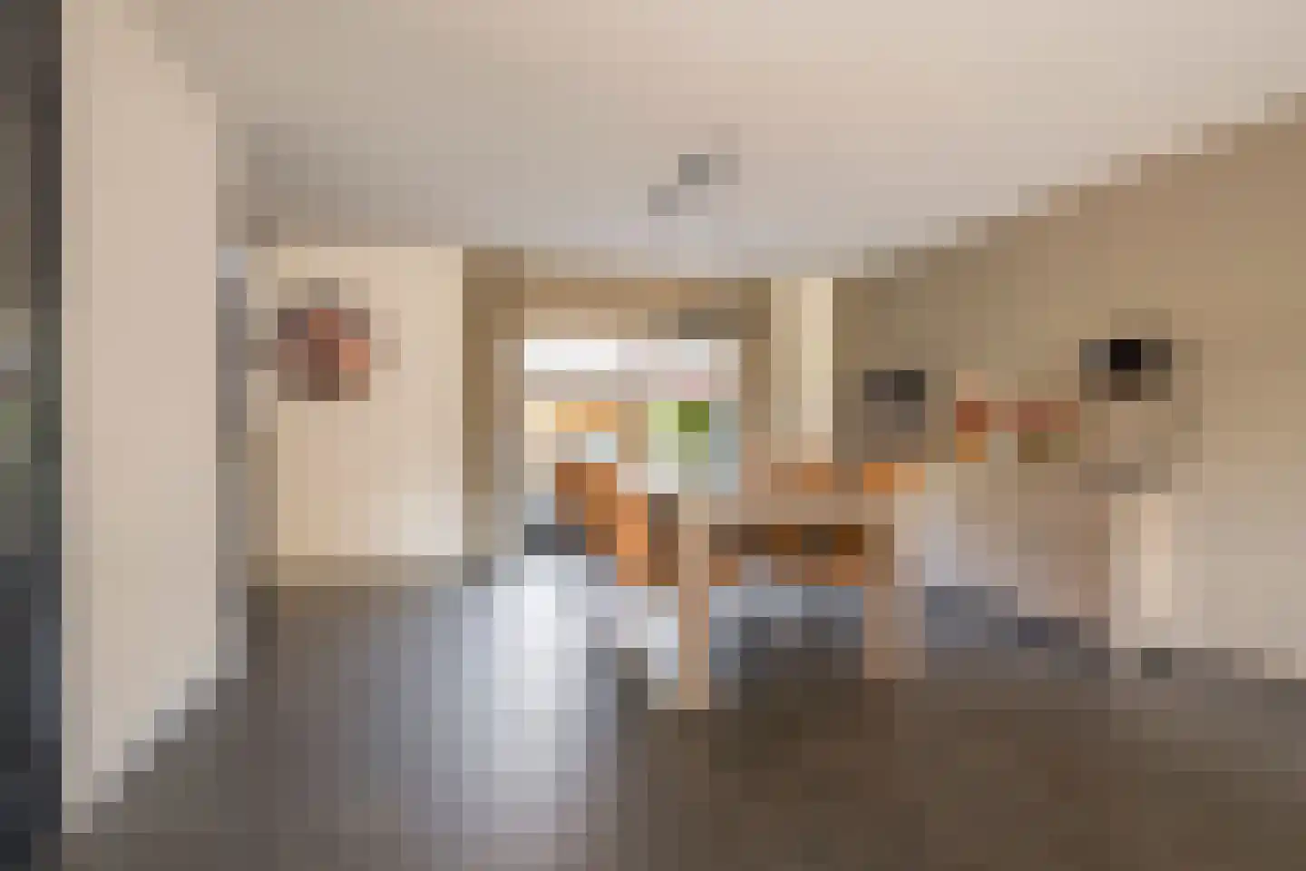Jacob de Boerweg 21 Nijkerkerveen thumbnail 7