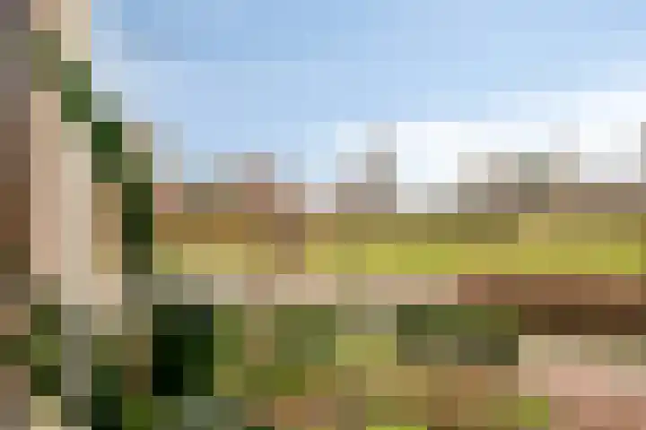 Jacob de Boerweg 27 Nijkerkerveen thumbnail 11