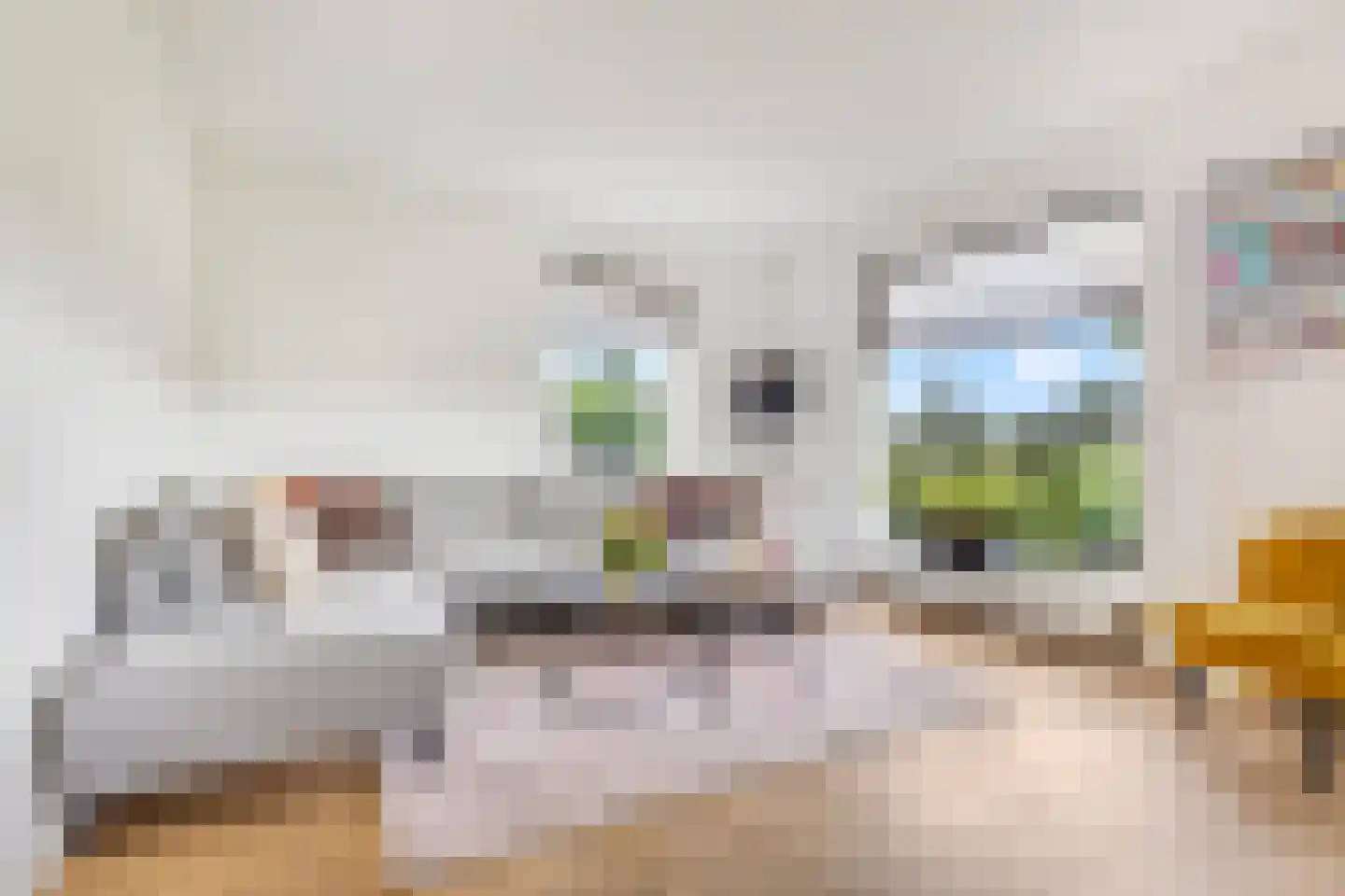 Jacob de Boerweg 31 Nijkerkerveen thumbnail 14