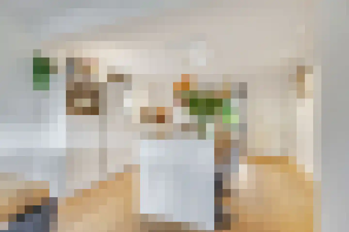 Jacob de Boerweg 31 Nijkerkerveen thumbnail 19