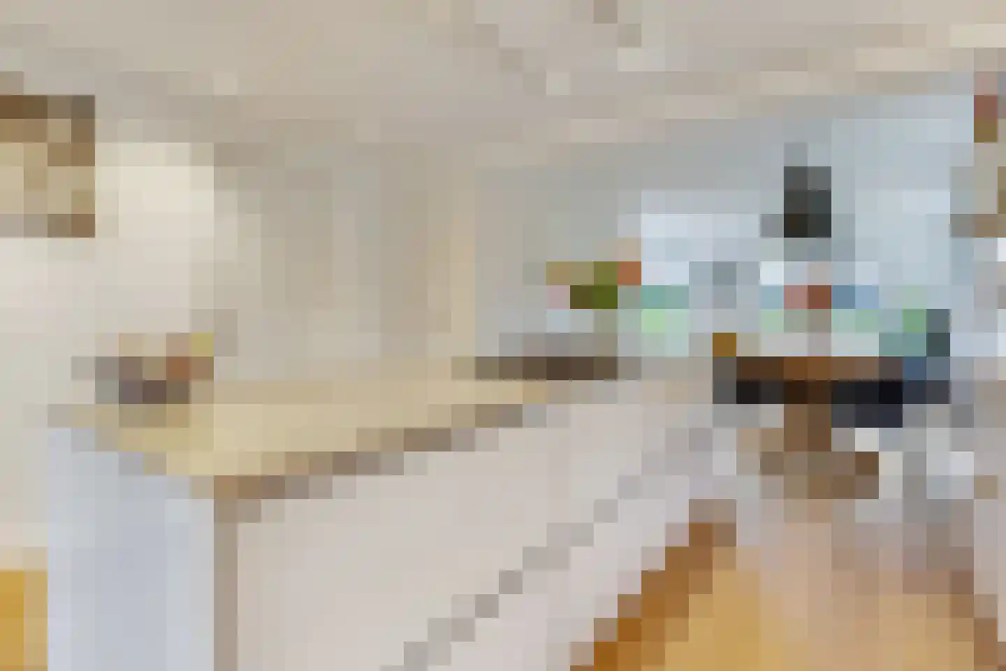 Jacob de Boerweg 31 Nijkerkerveen thumbnail 22