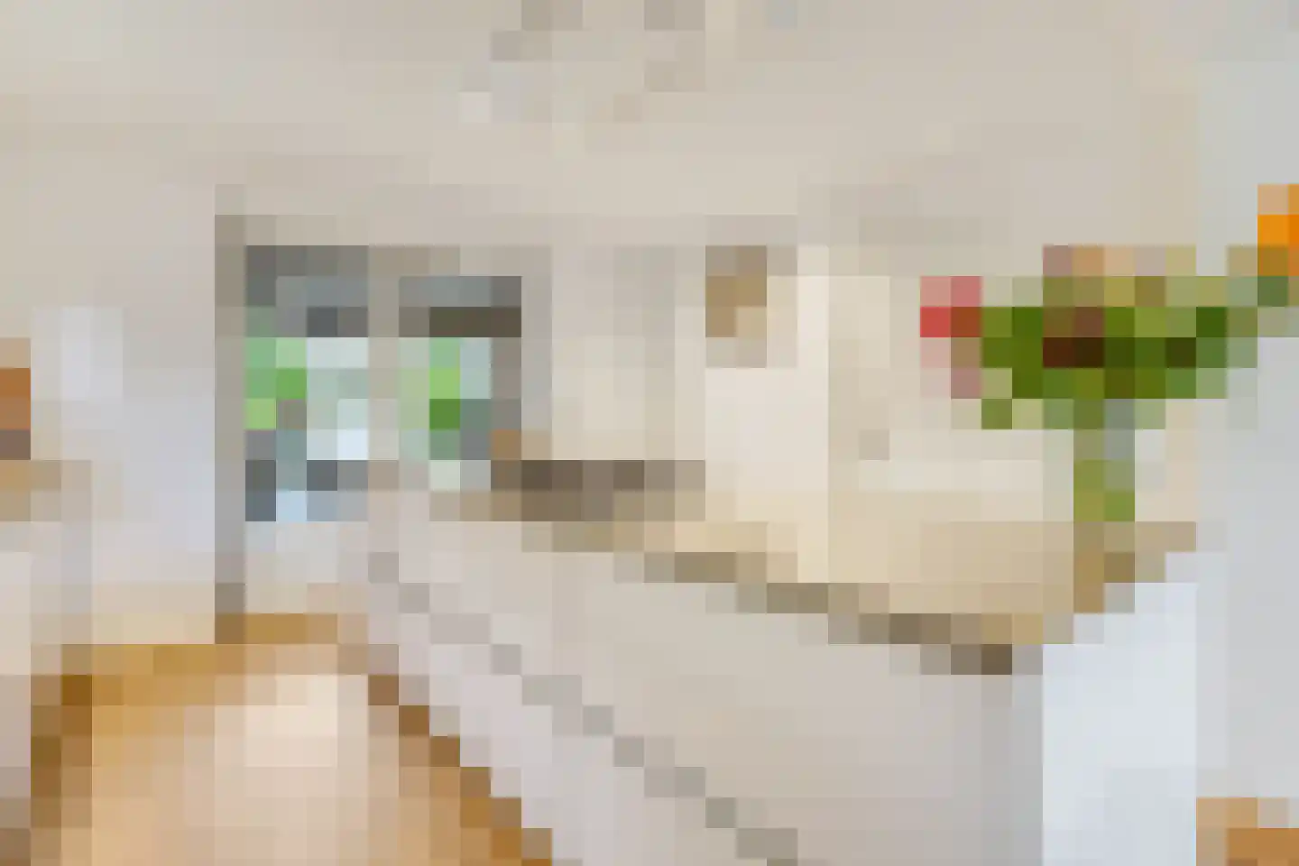 Jacob de Boerweg 31 Nijkerkerveen thumbnail 24