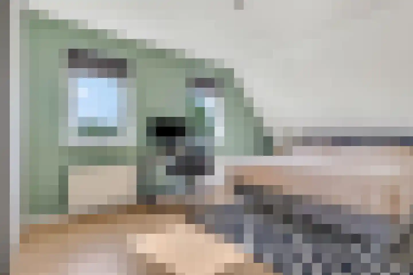 Jacob de Boerweg 31 Nijkerkerveen thumbnail 32