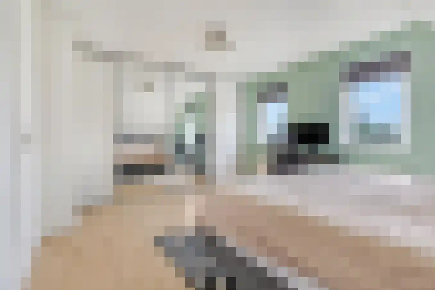 Jacob de Boerweg 31 Nijkerkerveen thumbnail 33
