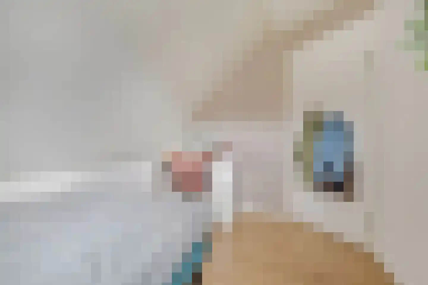Jacob de Boerweg 31 Nijkerkerveen thumbnail 36