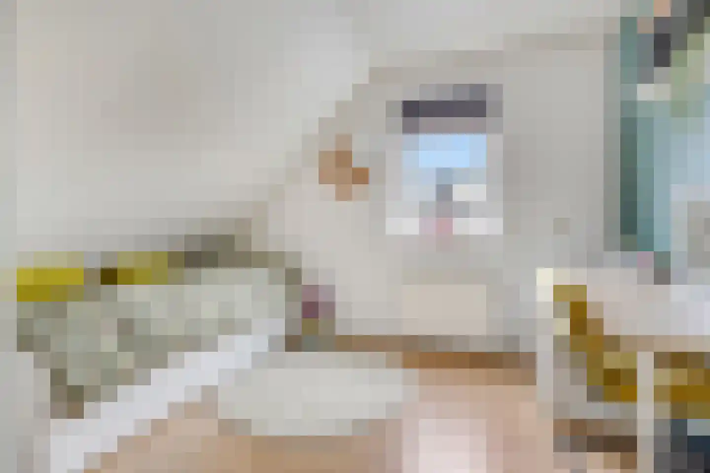 Jacob de Boerweg 31 Nijkerkerveen thumbnail 37