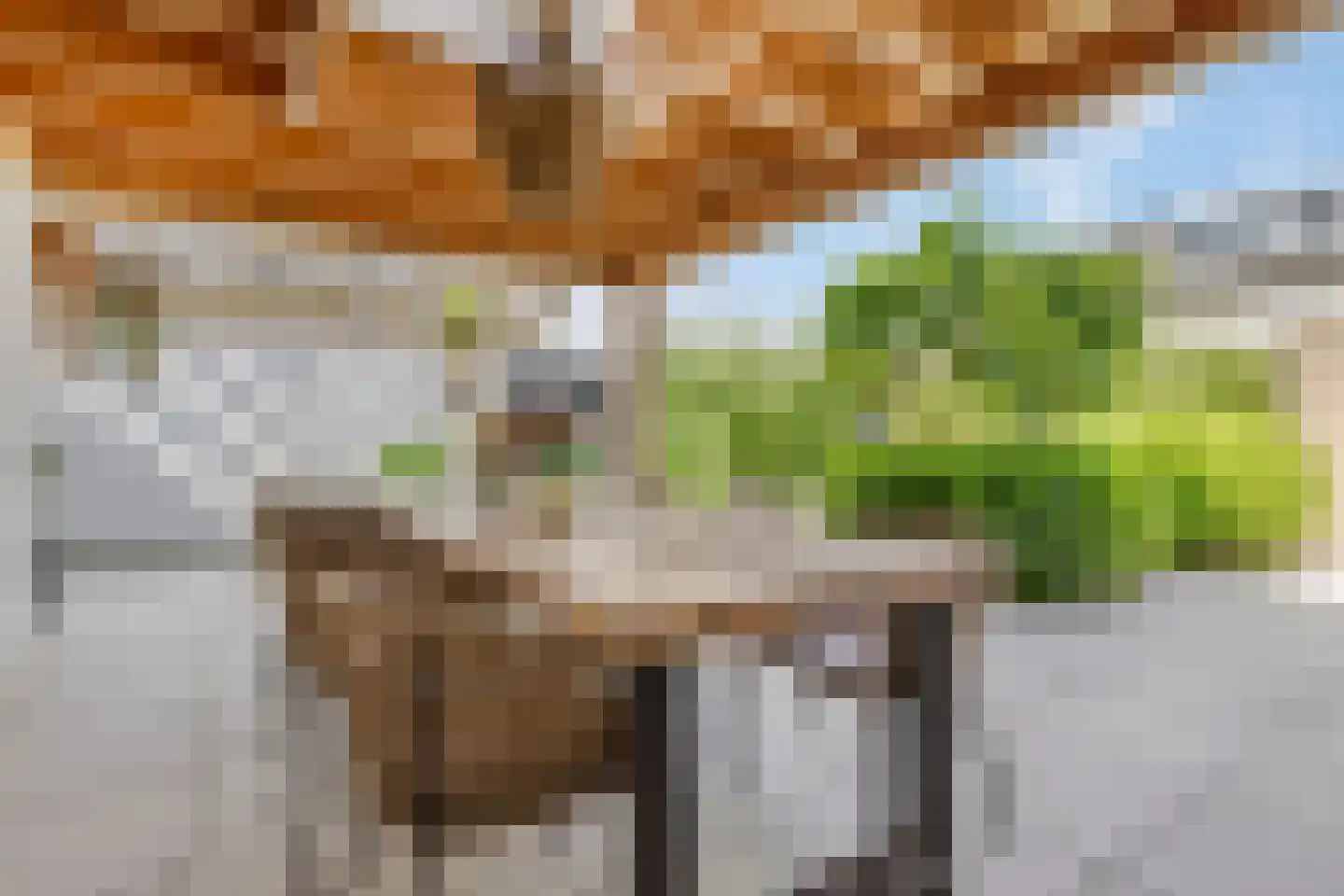Jacob de Boerweg 31 Nijkerkerveen thumbnail 44