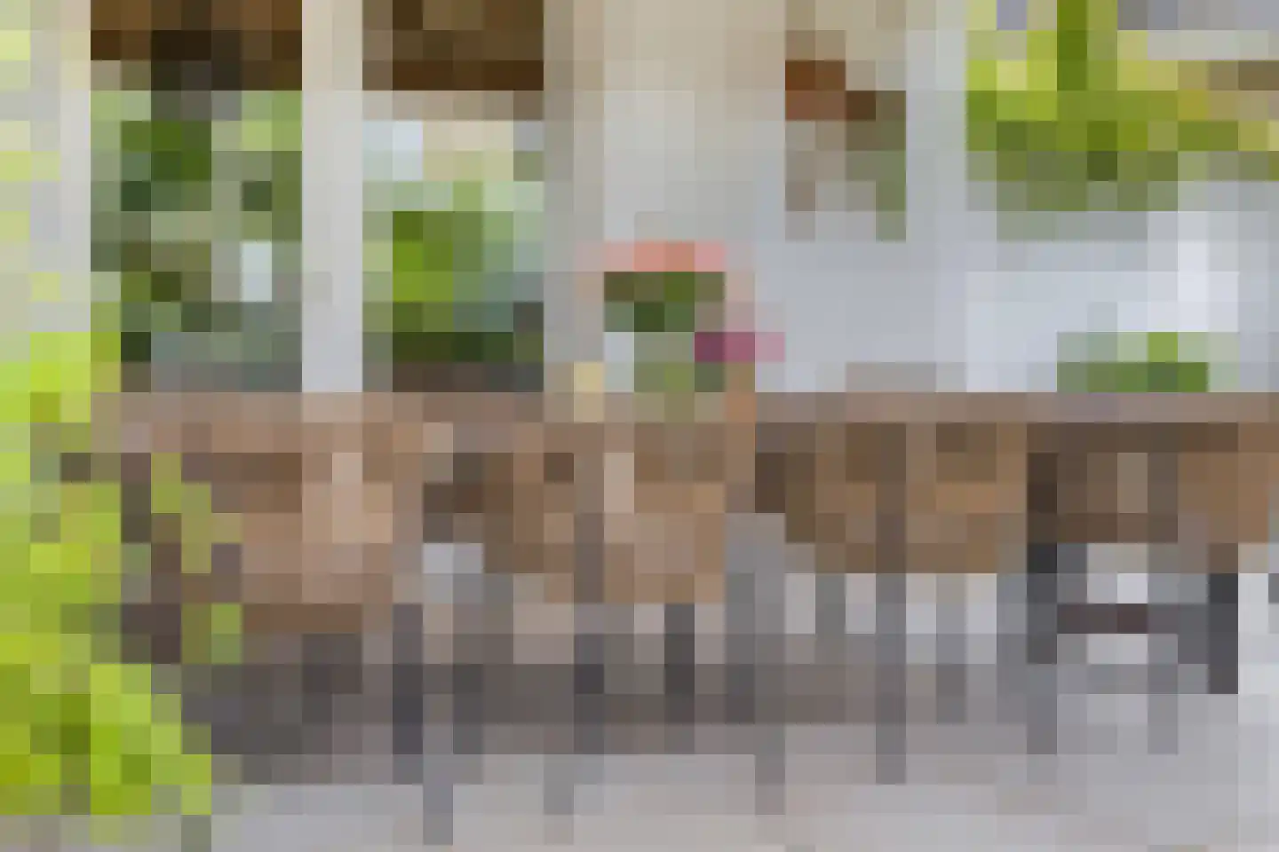 Jacob de Boerweg 31 Nijkerkerveen thumbnail 50