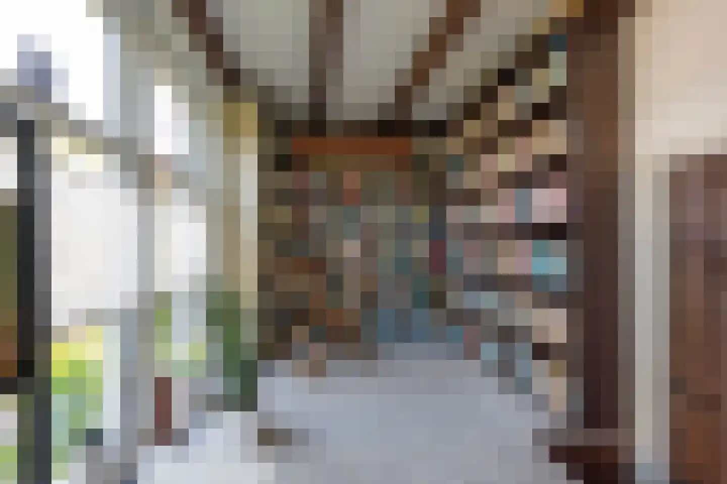 Jacob de Boerweg 6 Nijkerkerveen thumbnail 14