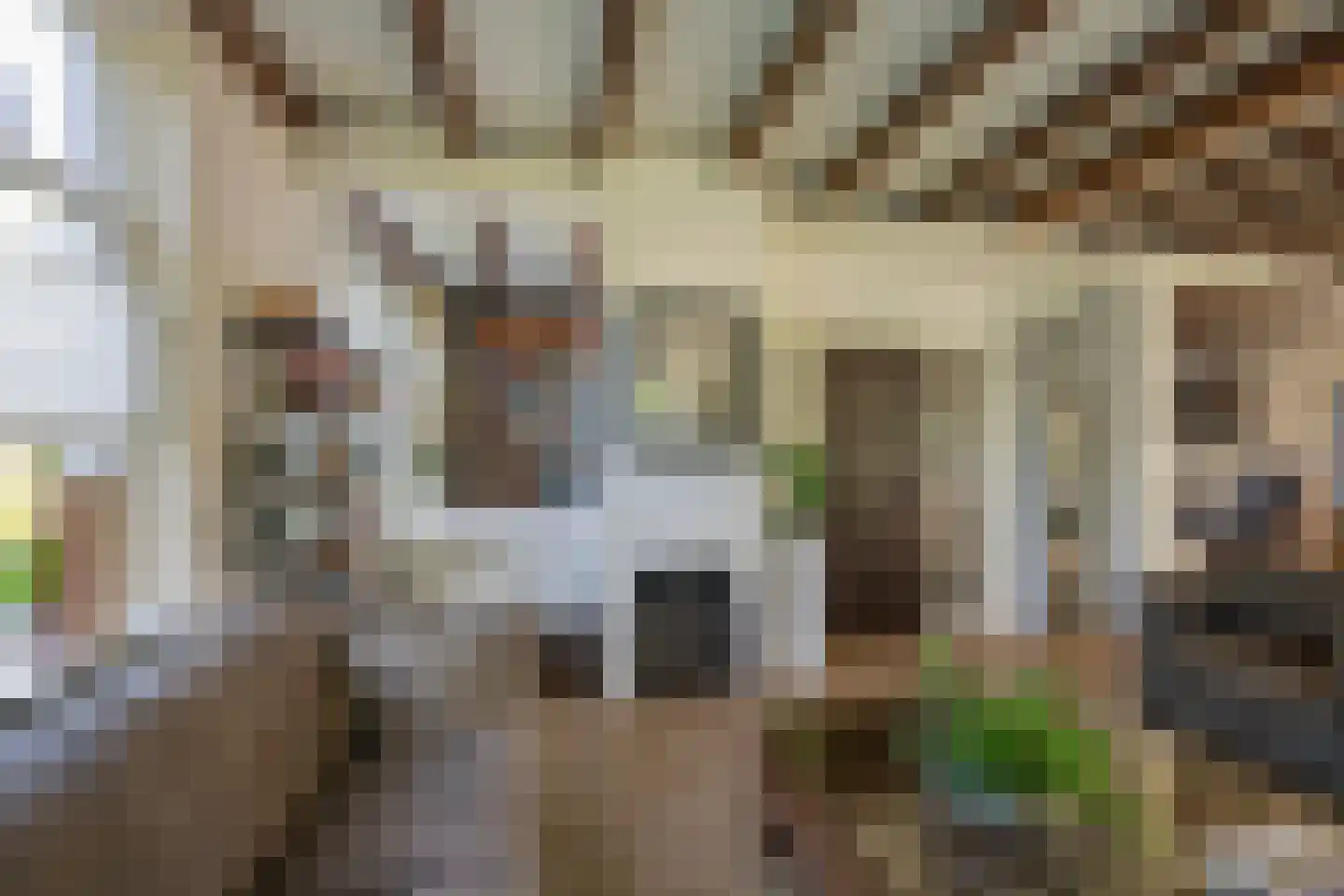 Jacob de Boerweg 6 Nijkerkerveen thumbnail 16