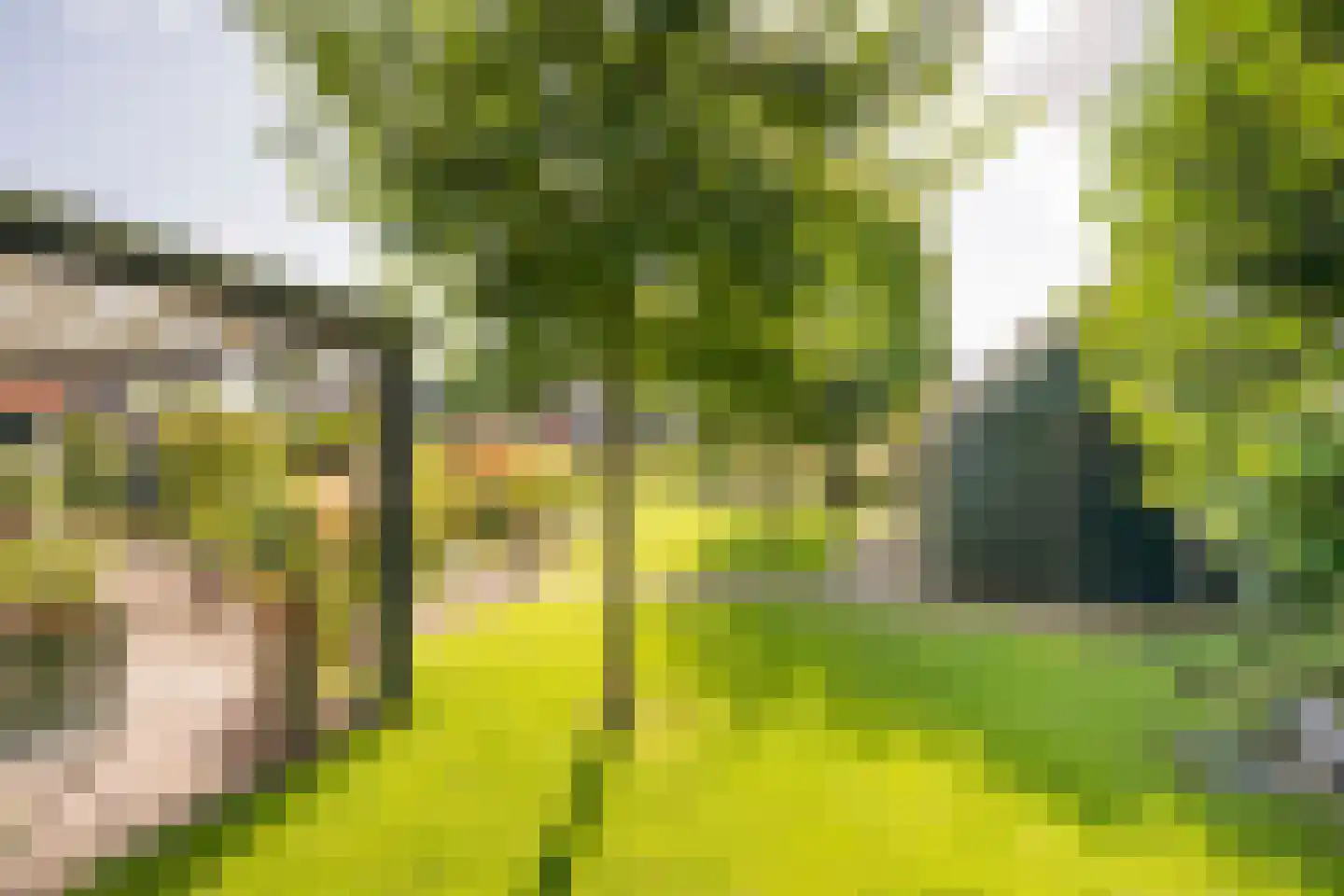 Jacob de Boerweg 6 Nijkerkerveen thumbnail 43