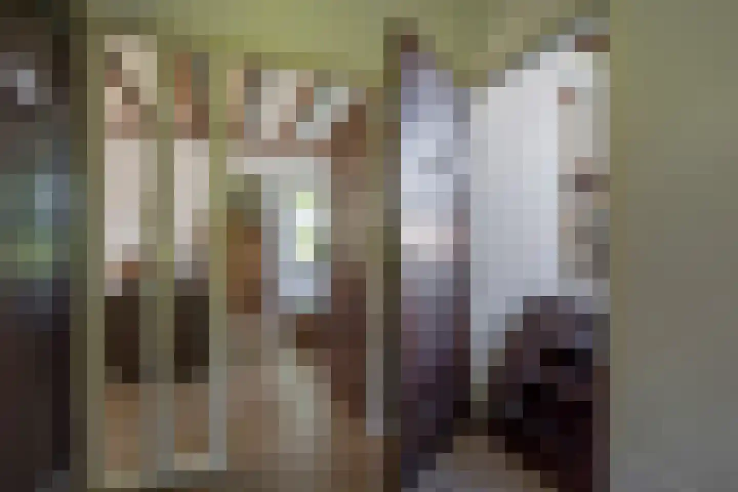 Jacob de Boerweg 6 Nijkerkerveen thumbnail 5