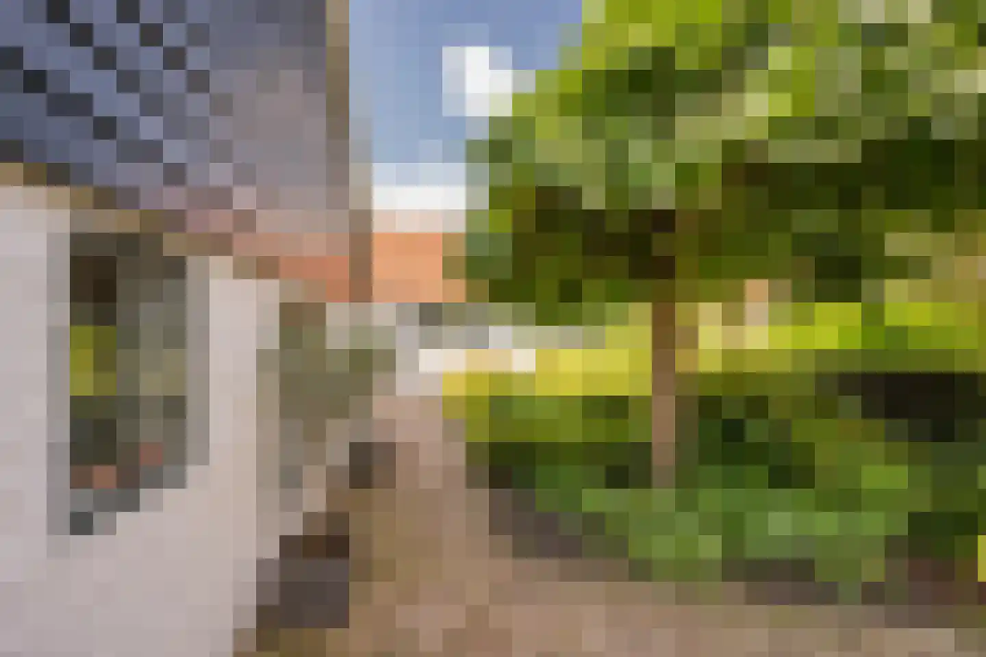 Jacob de Boerweg 6 Nijkerkerveen thumbnail 50