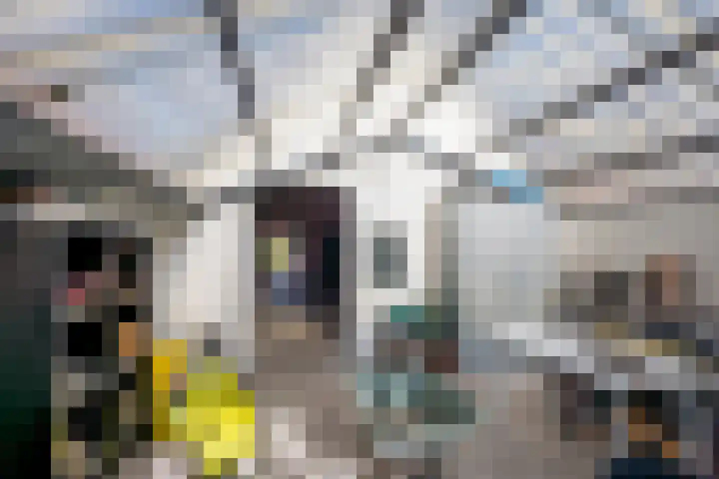 Jacob de Boerweg 6 Nijkerkerveen thumbnail 52