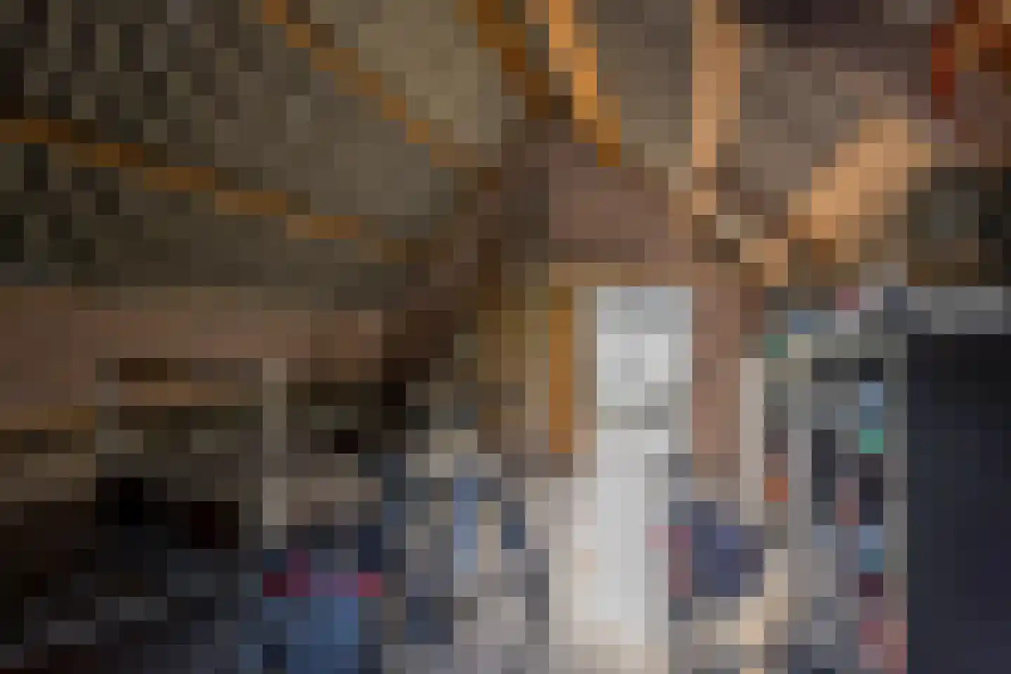 Jacob de Boerweg 6 Nijkerkerveen thumbnail 53