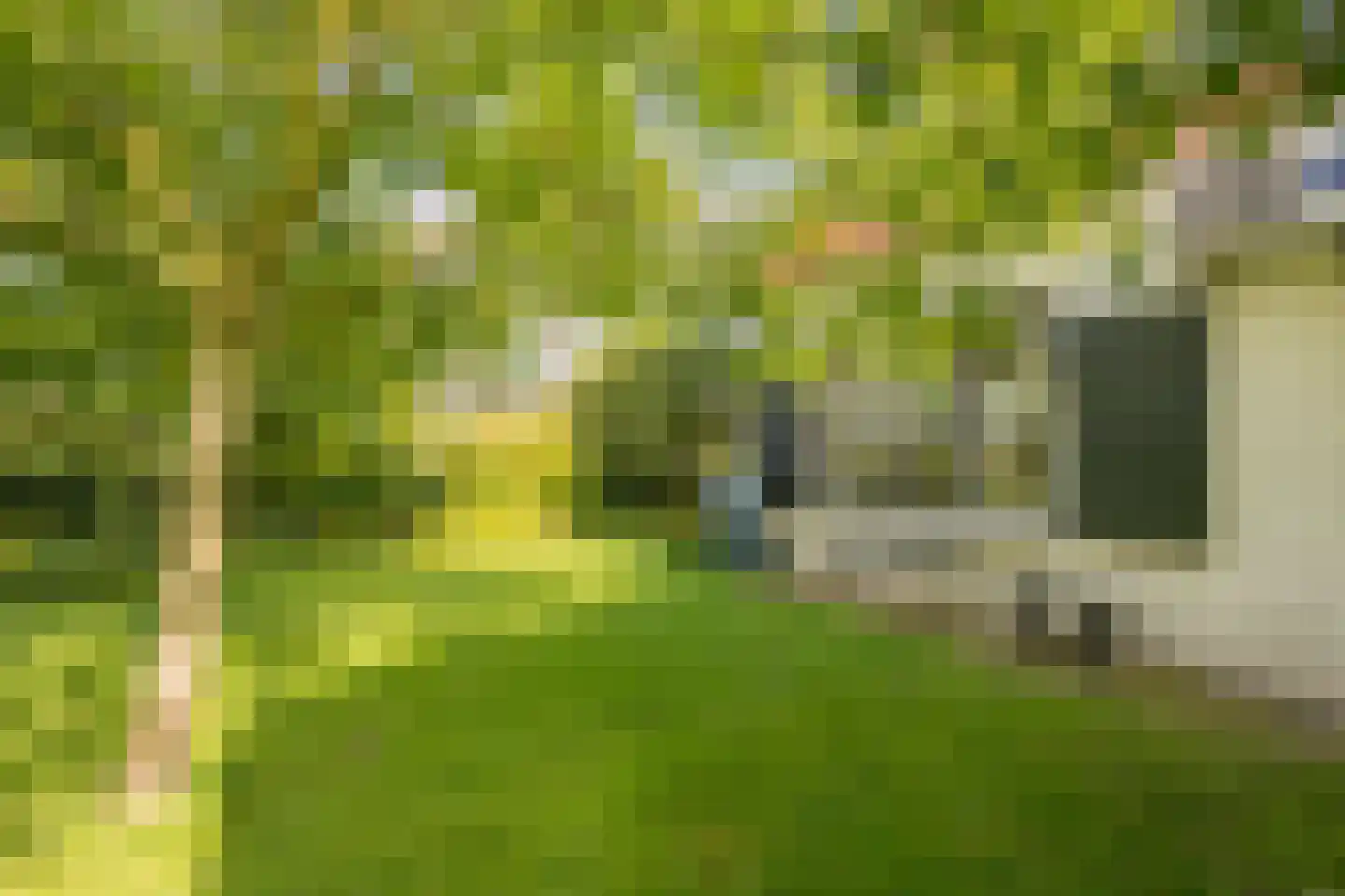 Jacob de Boerweg 6 Nijkerkerveen thumbnail 55