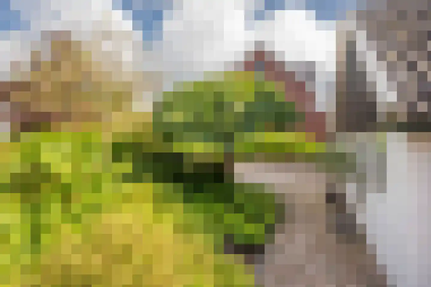 Jacob de Boerweg 6 Nijkerkerveen thumbnail 58
