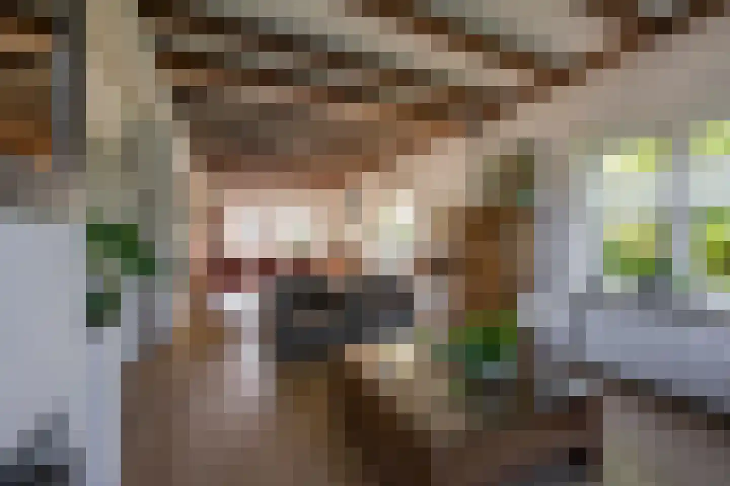 Jacob de Boerweg 6 Nijkerkerveen thumbnail 7