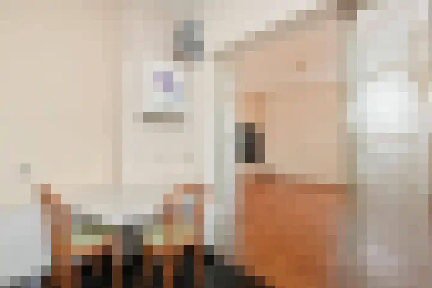 Jacob de Graefflaan 7 Den Haag thumbnail 13