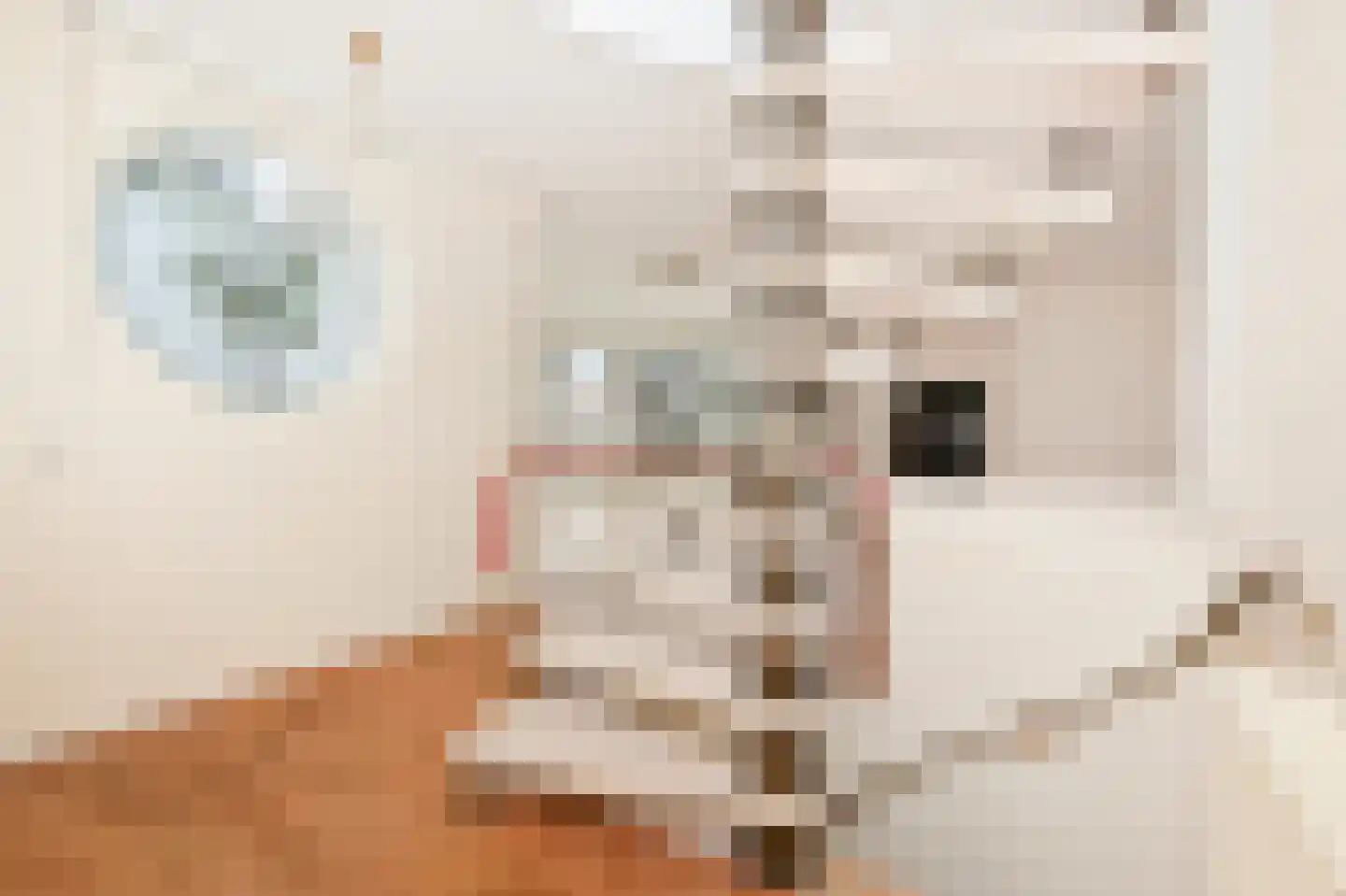 Jacob de Graefflaan 7 Den Haag thumbnail 7