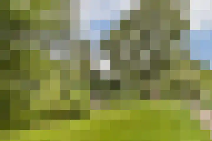 Jacob de Graeflaan 111 Amstelveen thumbnail 21