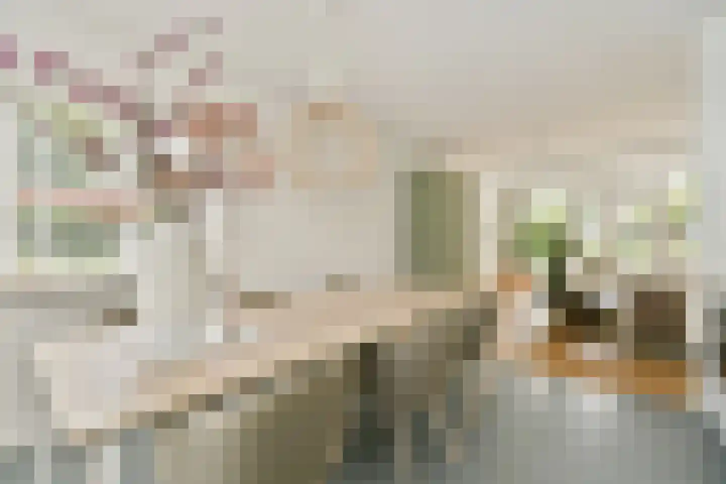 Jacob de Graeflaan 73 Amstelveen thumbnail 11
