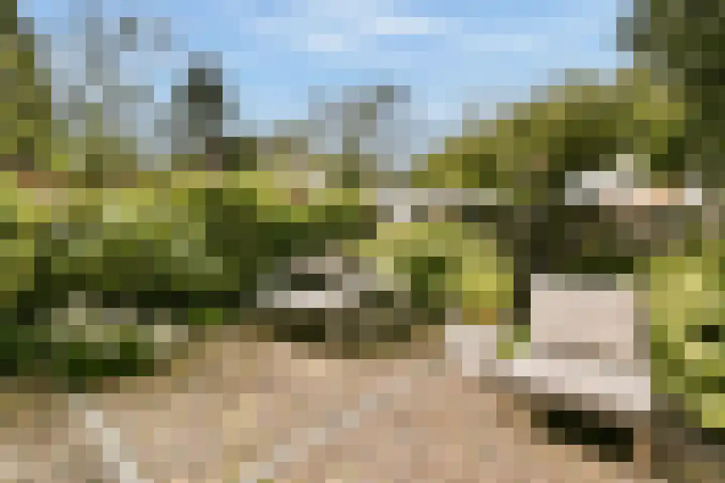 Jacob de Graeflaan 73 Amstelveen thumbnail 18