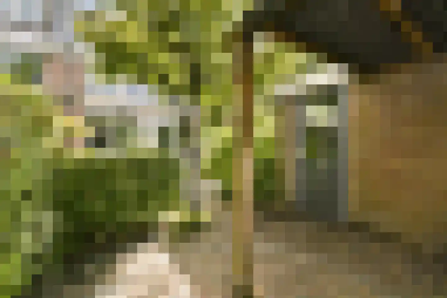 Jacob de Graeflaan 73 Amstelveen thumbnail 22