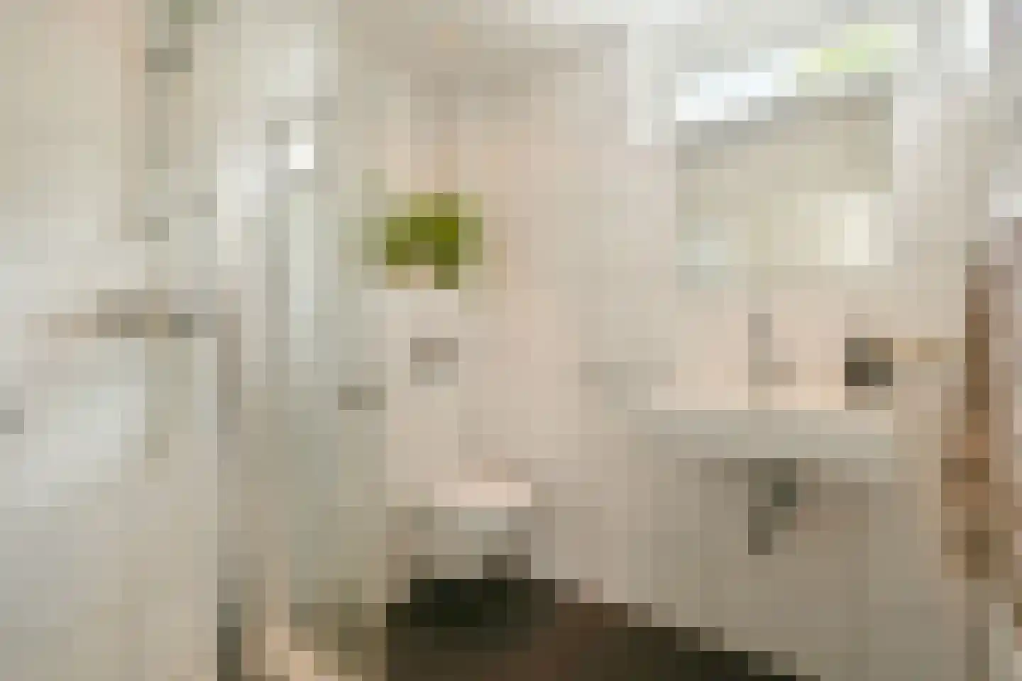 Jacob de Graeflaan 73 Amstelveen thumbnail 33