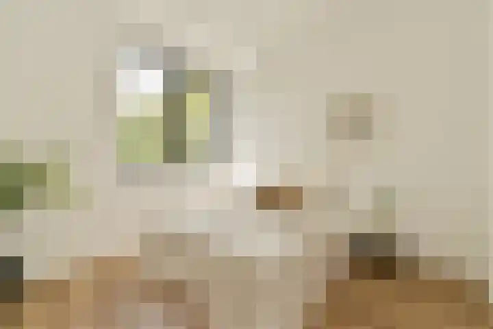 Jacob de Graeflaan 79 Amstelveen thumbnail 31