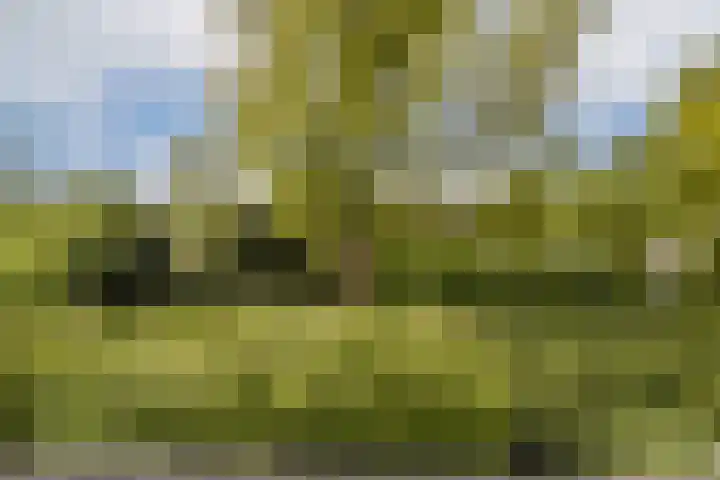 Jacob de Graeflaan 79 Amstelveen thumbnail 36