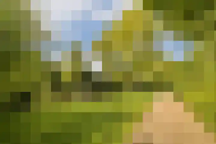 Jacob de Graeflaan 79 Amstelveen thumbnail 37