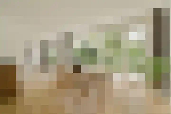 Jacob de Graeflaan 79 Amstelveen thumbnail 5