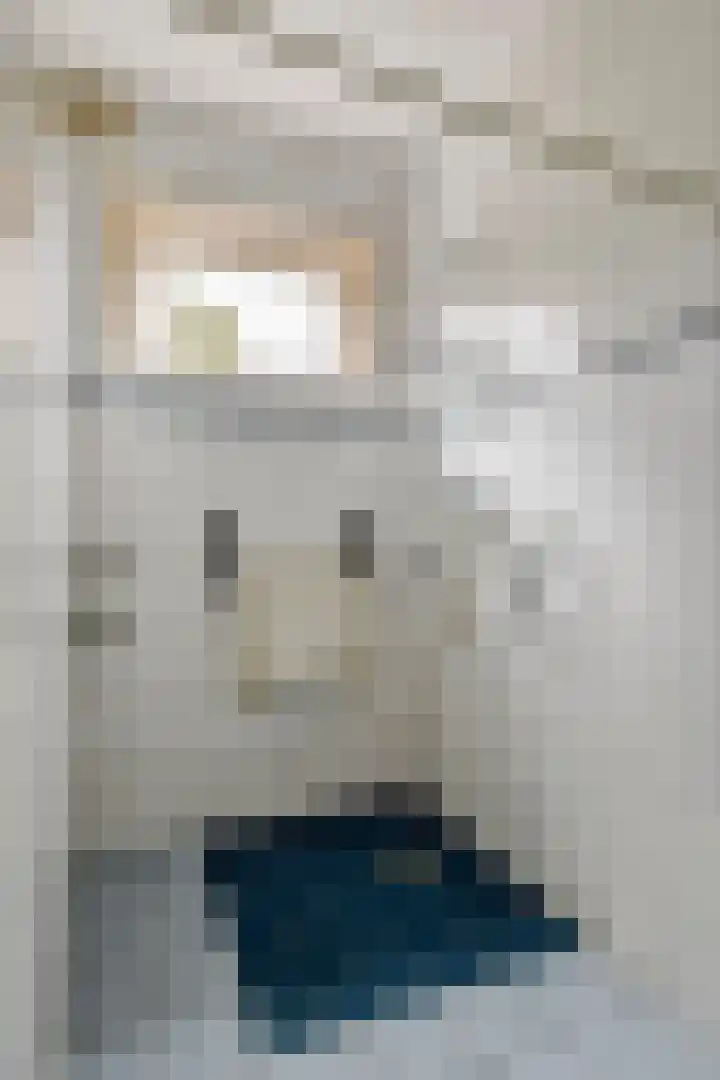 Jacob de Ridderstraat 21 Buurmalsen thumbnail 11