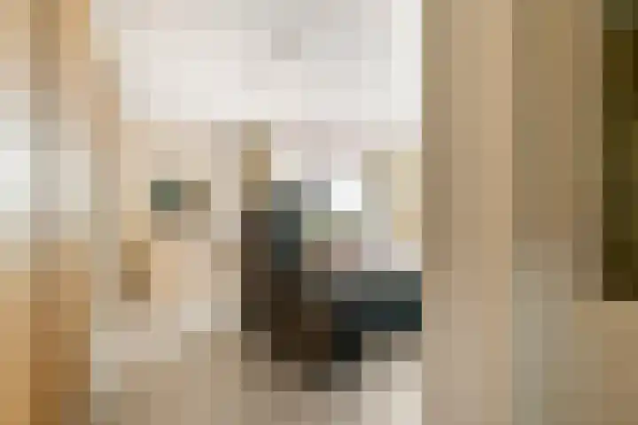 Jacob de Ridderstraat 21 Buurmalsen thumbnail 15
