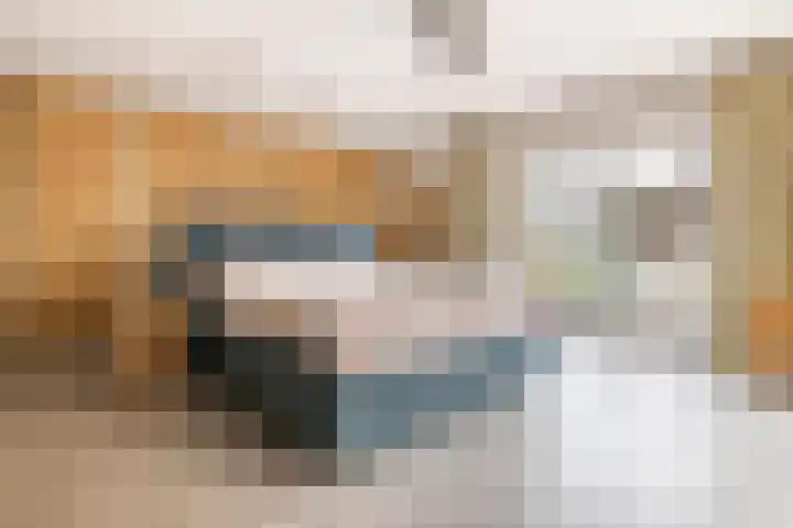 Jacob de Ridderstraat 21 Buurmalsen thumbnail 17
