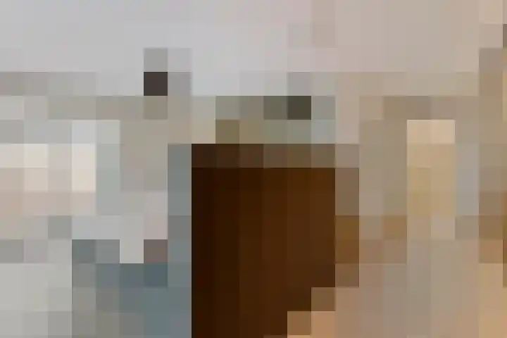 Jacob de Ridderstraat 21 Buurmalsen thumbnail 18