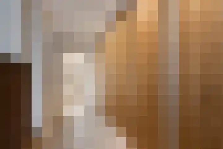 Jacob de Ridderstraat 21 Buurmalsen thumbnail 19