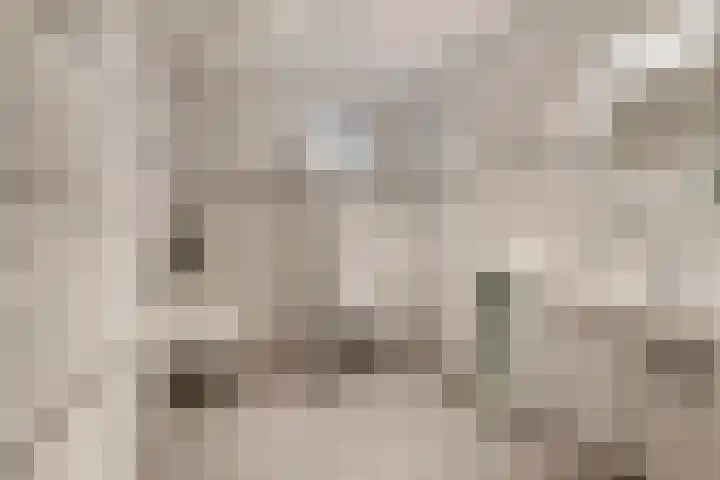 Jacob de Ridderstraat 21 Buurmalsen thumbnail 20