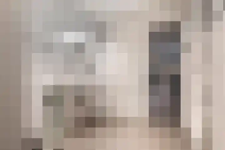 Jacob de Ridderstraat 21 Buurmalsen thumbnail 21