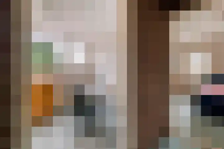 Jacob de Ridderstraat 21 Buurmalsen thumbnail 27