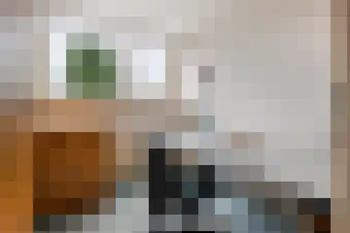 Jacob de Ridderstraat 21 Buurmalsen thumbnail 28