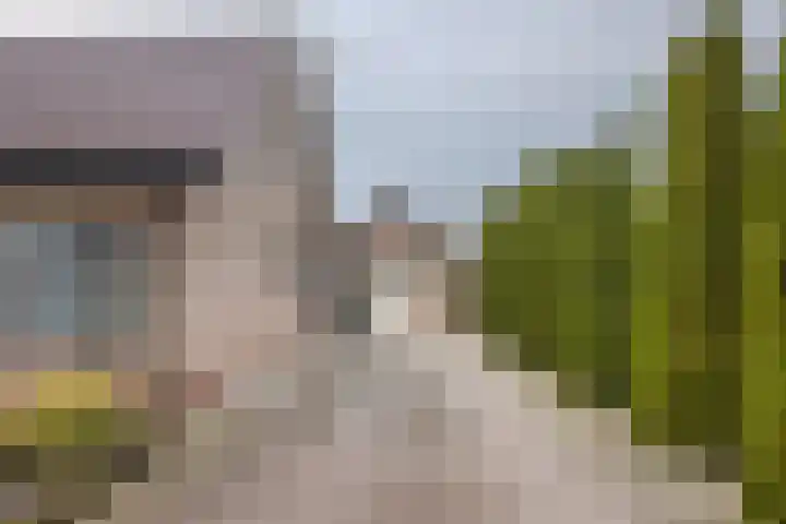 Jacob de Ridderstraat 21 Buurmalsen thumbnail 33