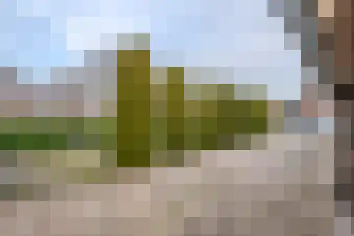Jacob de Ridderstraat 21 Buurmalsen thumbnail 37