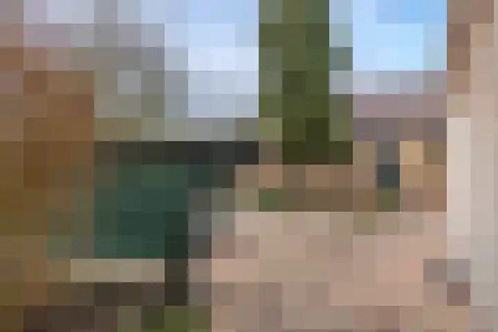 Jacob de Ridderstraat 21 Buurmalsen thumbnail 40