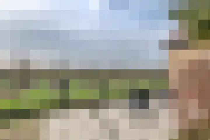 Jacob de Ridderstraat 21 Buurmalsen thumbnail 41