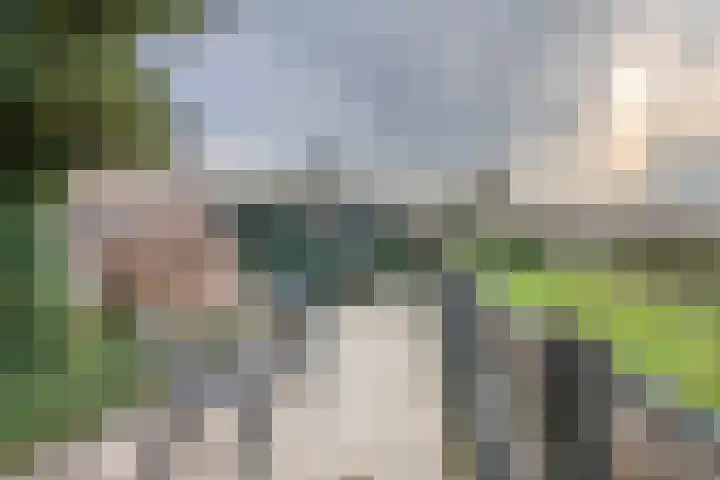 Jacob de Ridderstraat 21 Buurmalsen thumbnail 42