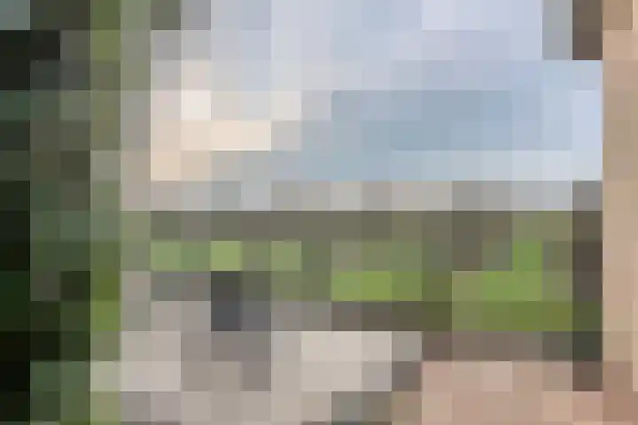 Jacob de Ridderstraat 21 Buurmalsen thumbnail 43