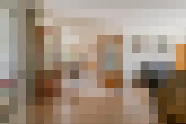 Jacob de Ridderstraat 21 Buurmalsen thumbnail 5
