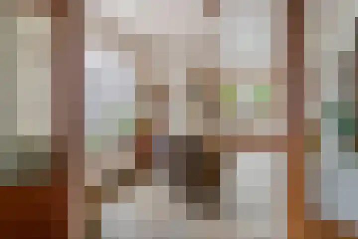 Jacob de Ridderstraat 21 Buurmalsen thumbnail 6
